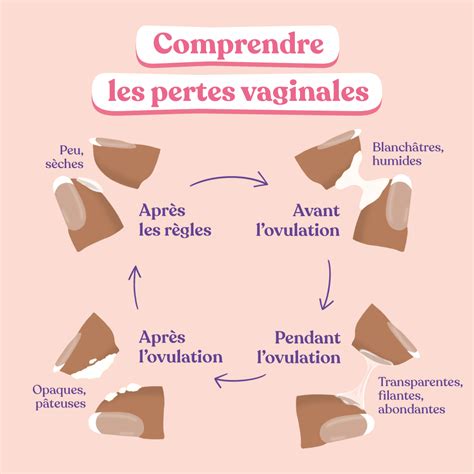 perte cremeuse|Quels sont les différents types de pertes vaginales